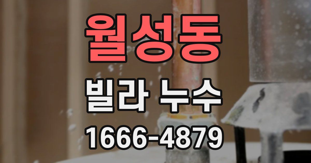 월성동 빌라 누수