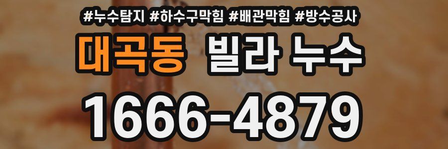 대곡동 빌라 누수