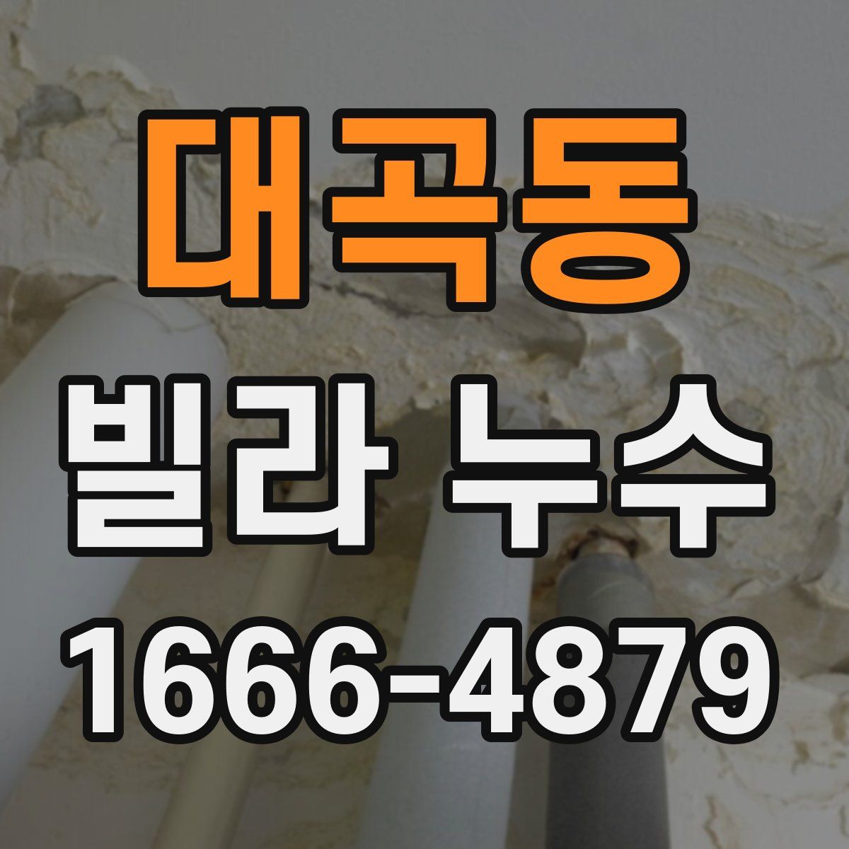 대곡동 빌라 누수