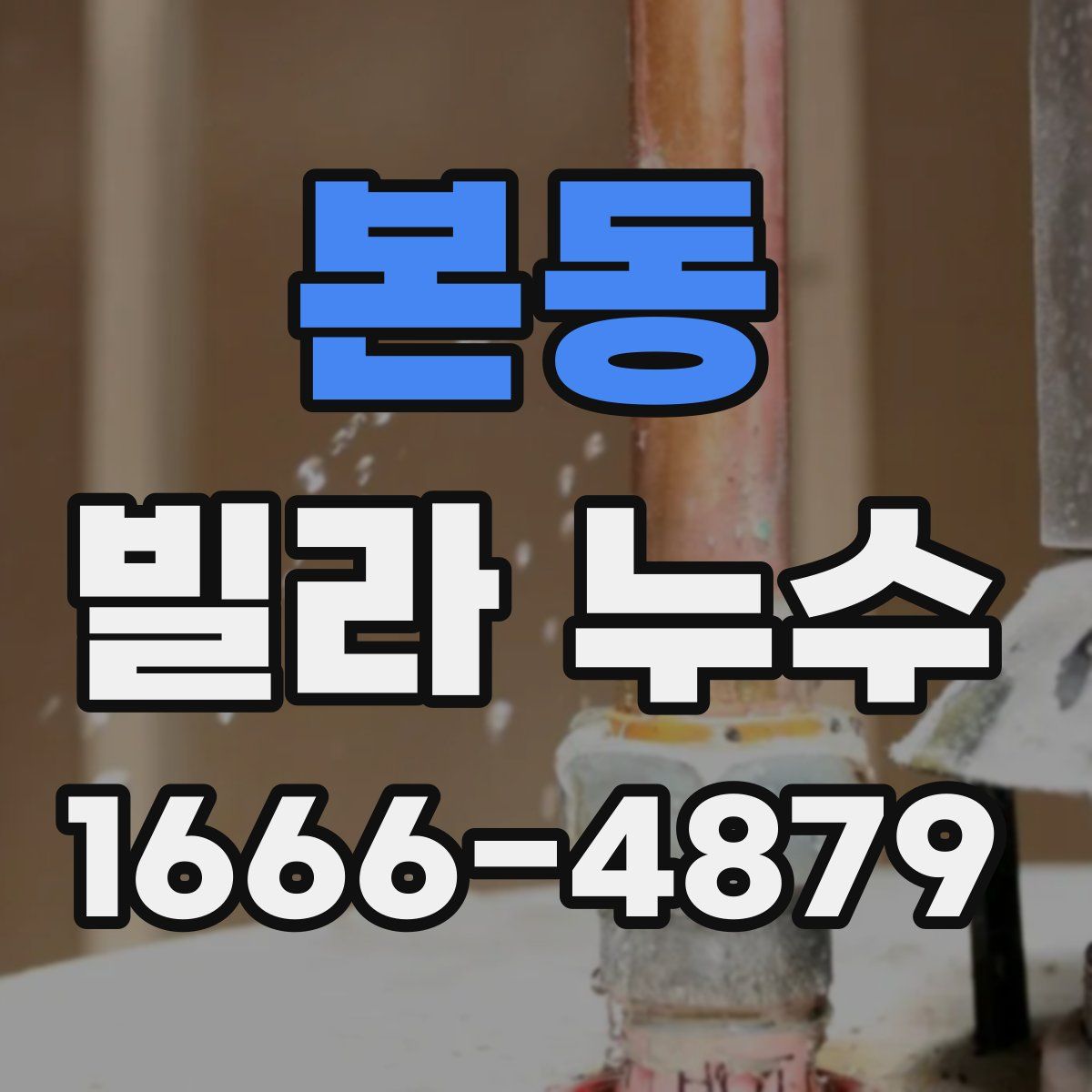 본동 빌라 누수