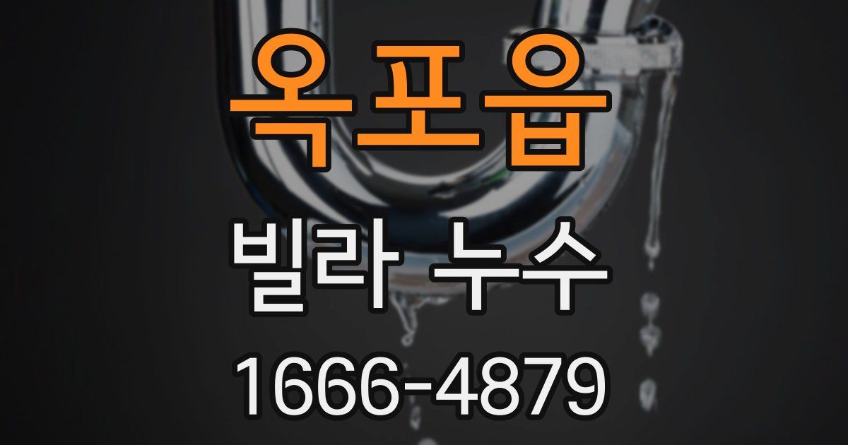 옥포읍 빌라 누수