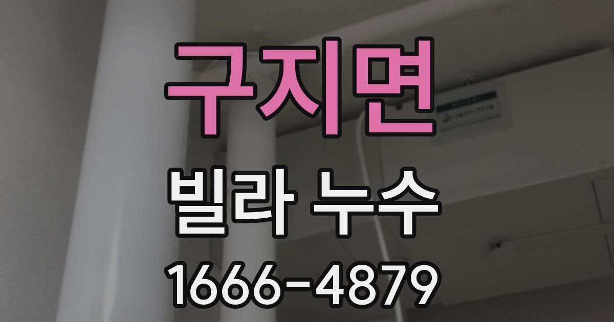 구지면 빌라 누수