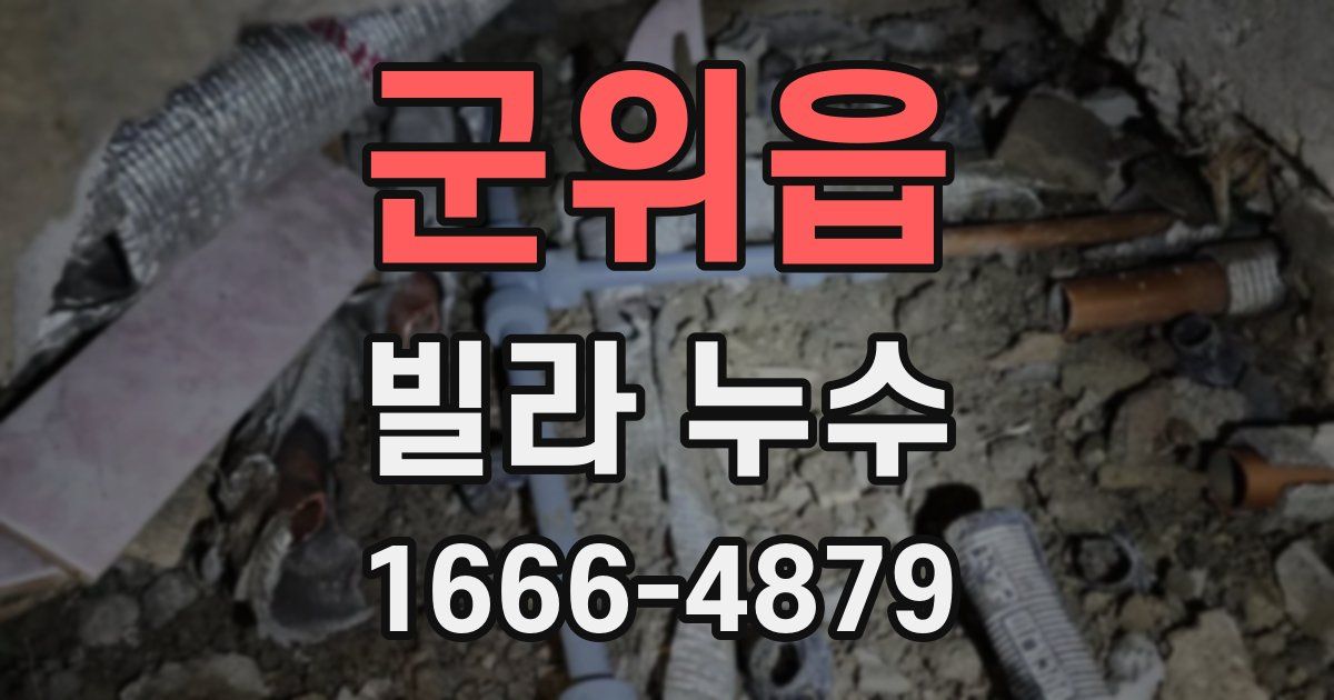 군위읍 빌라 누수