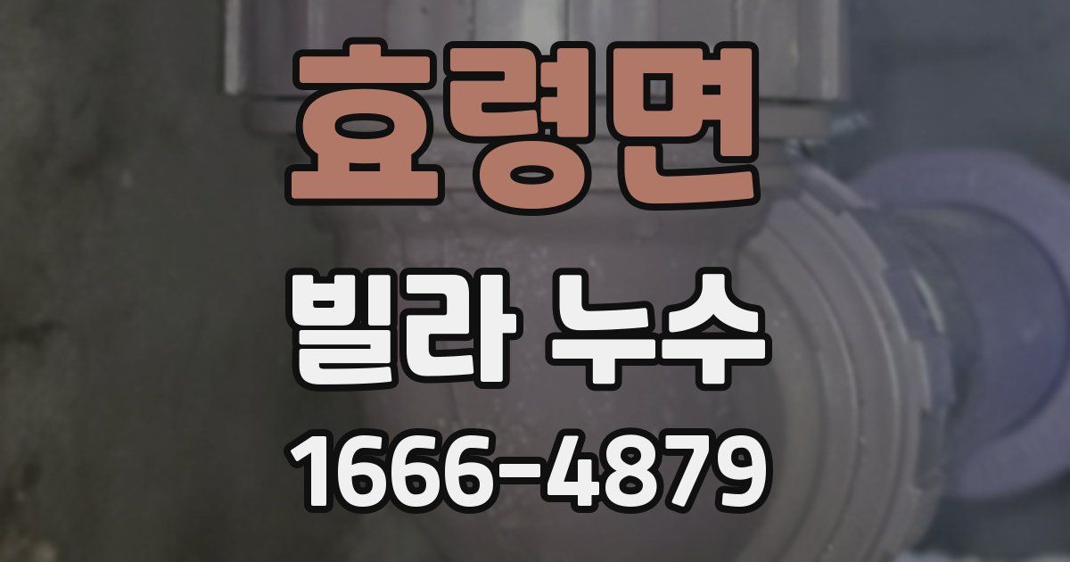 효령면 빌라 누수