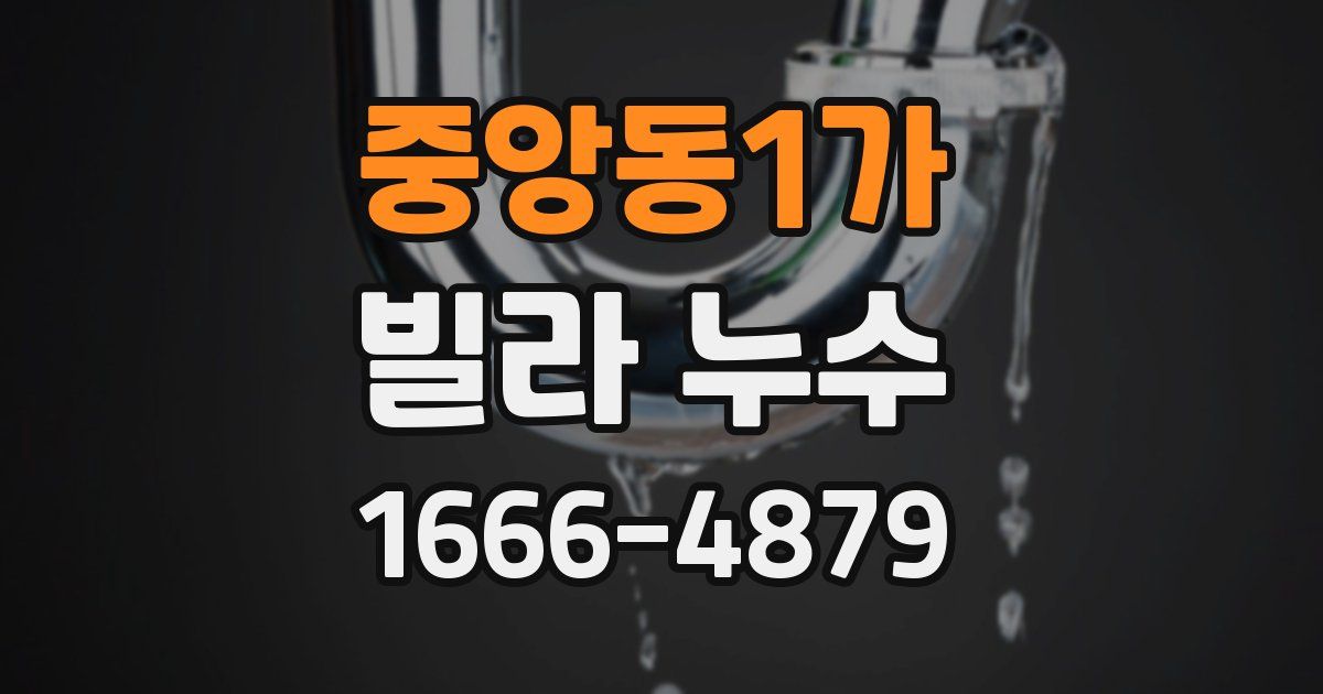 중앙동1가 빌라 누수