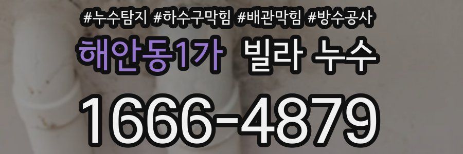해안동1가 빌라 누수