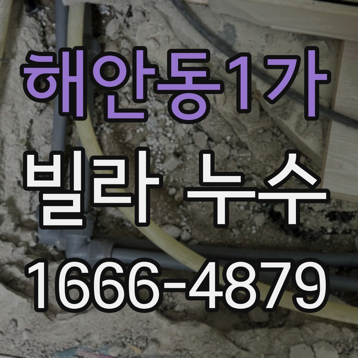 해안동1가 빌라 누수
