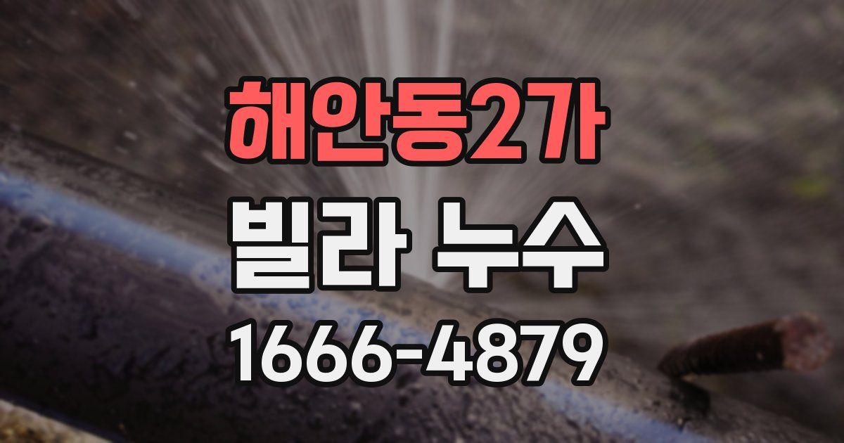 해안동2가 빌라 누수