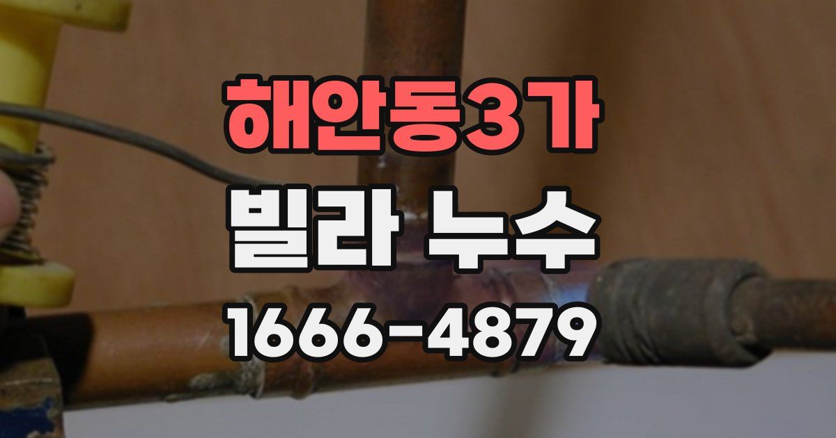 해안동3가 빌라 누수