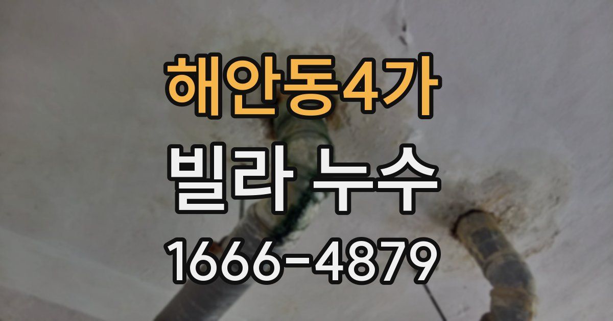 해안동4가 빌라 누수