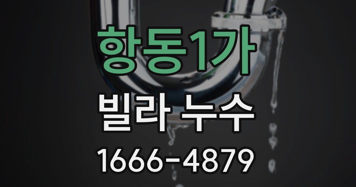 항동1가 빌라 누수