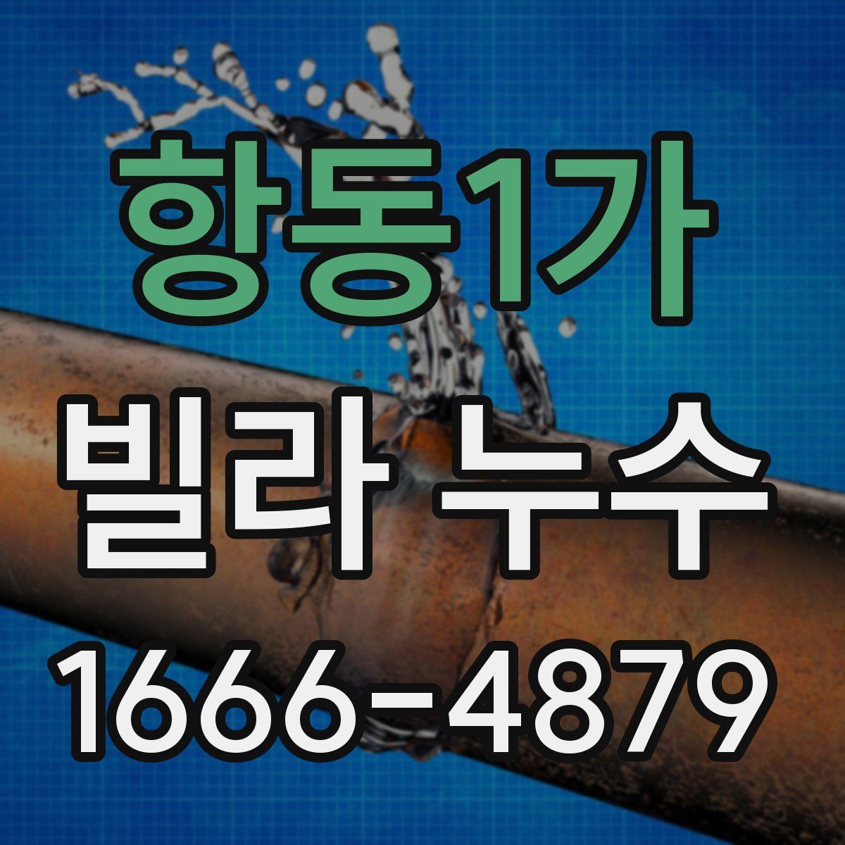 항동1가 빌라 누수