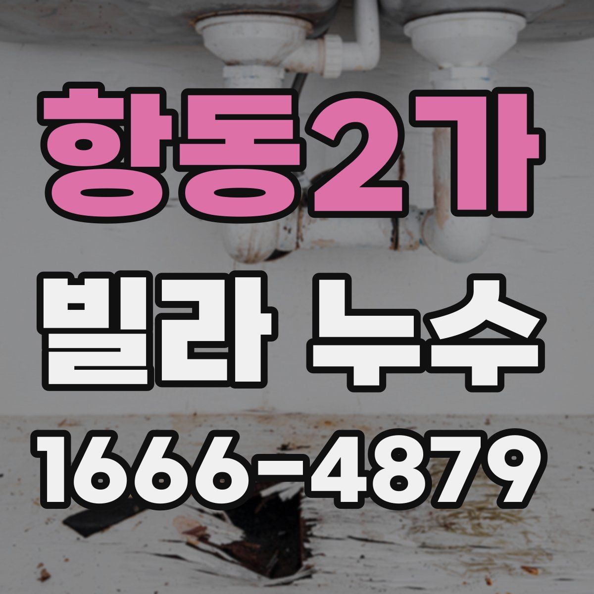 항동2가 빌라 누수