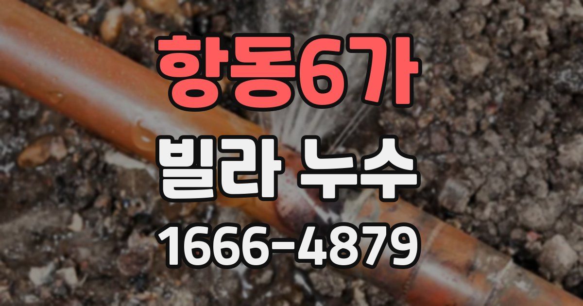 항동6가 빌라 누수