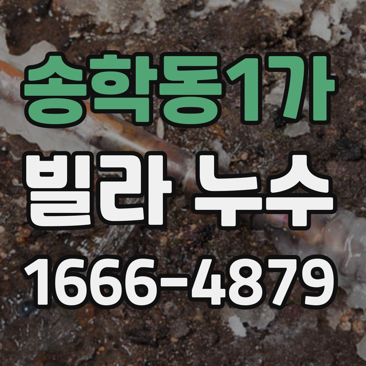 송학동1가 빌라 누수