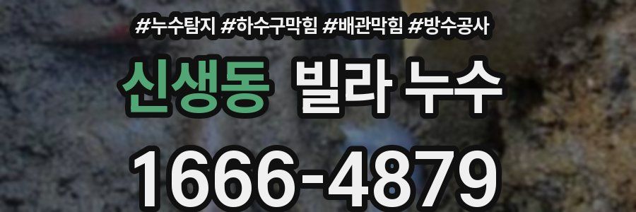 신생동 빌라 누수