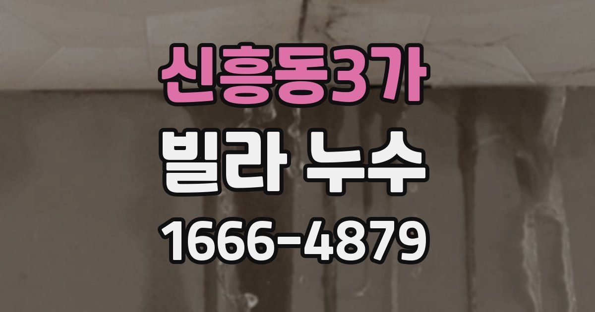 신흥동3가 빌라 누수