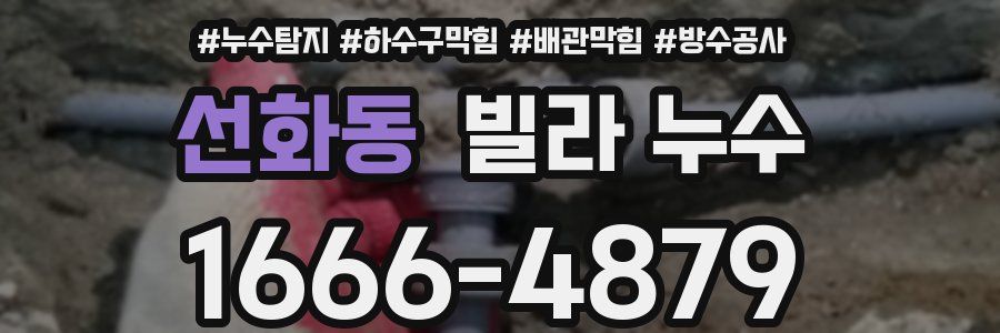 선화동 빌라 누수