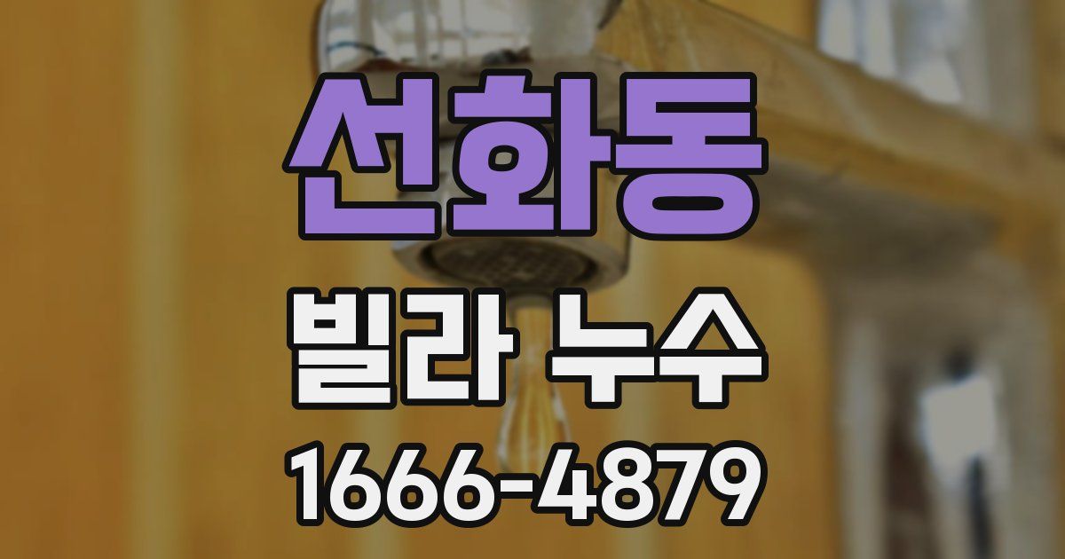선화동 빌라 누수