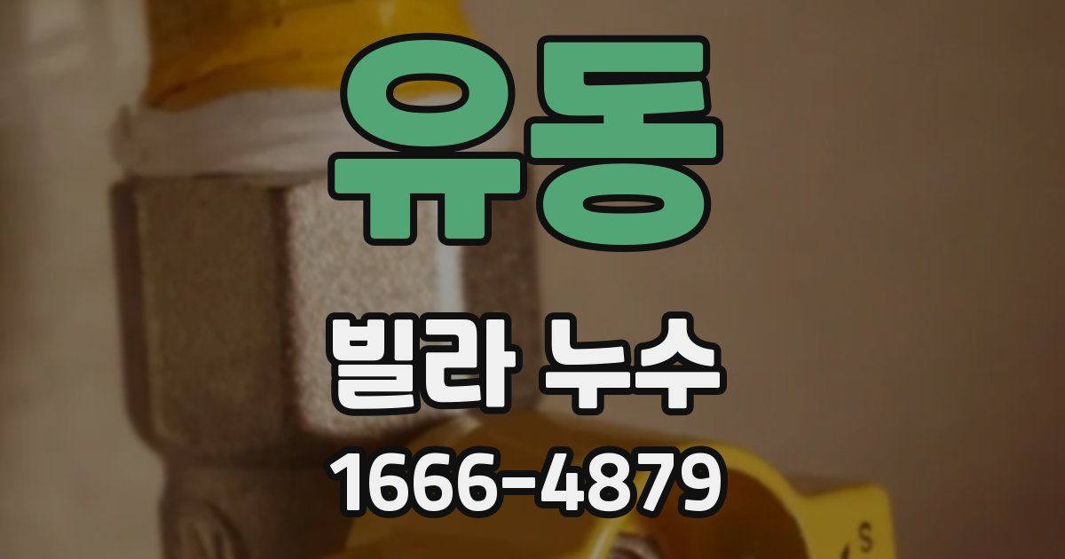 유동 빌라 누수
