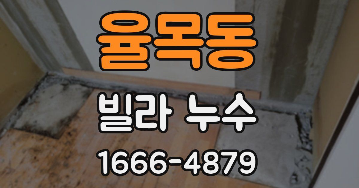 율목동 빌라 누수