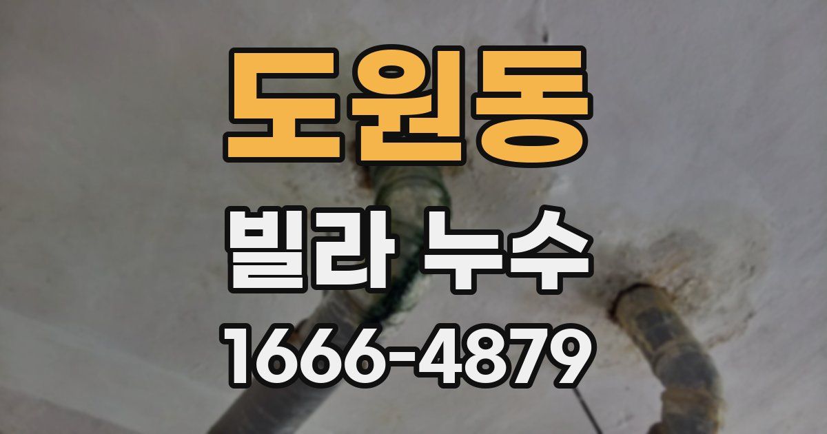도원동 빌라 누수