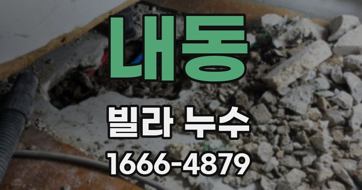 내동 빌라 누수