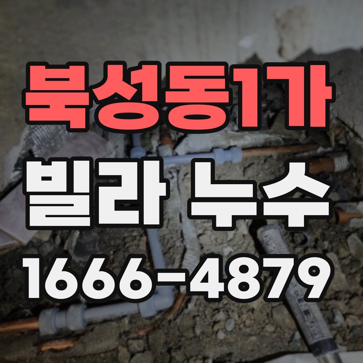 북성동1가 빌라 누수