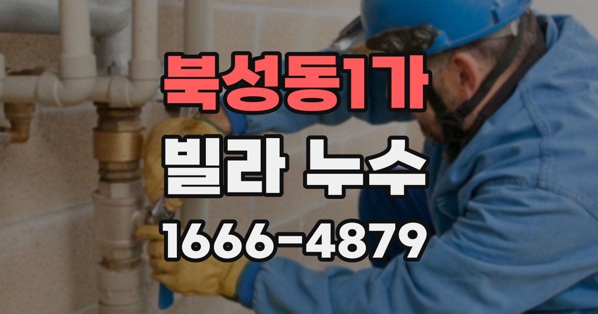 북성동1가 빌라 누수