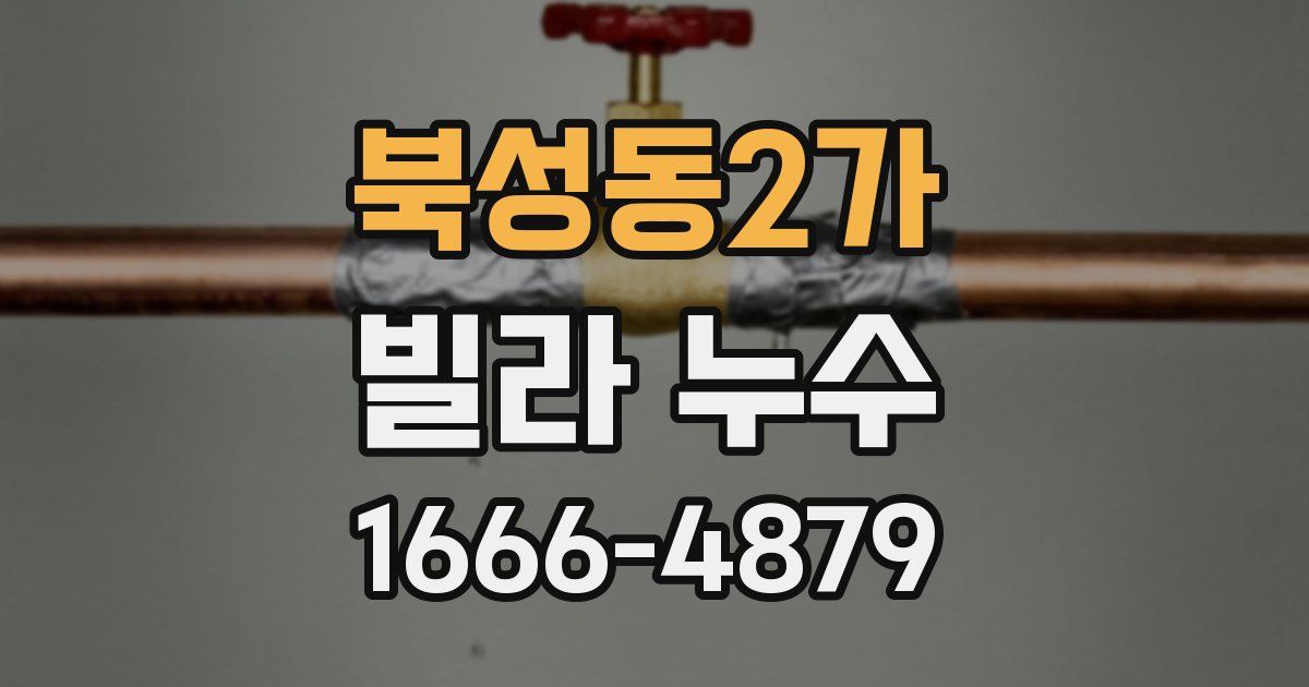 북성동2가 빌라 누수
