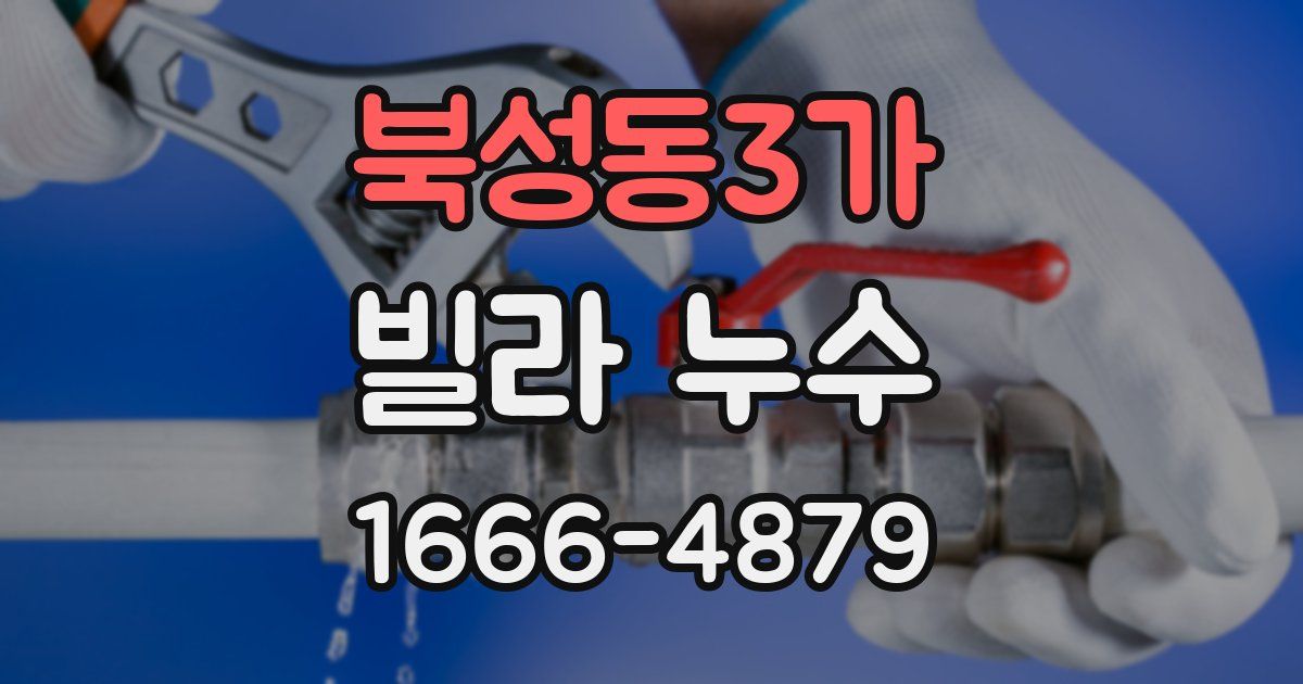 북성동3가 빌라 누수