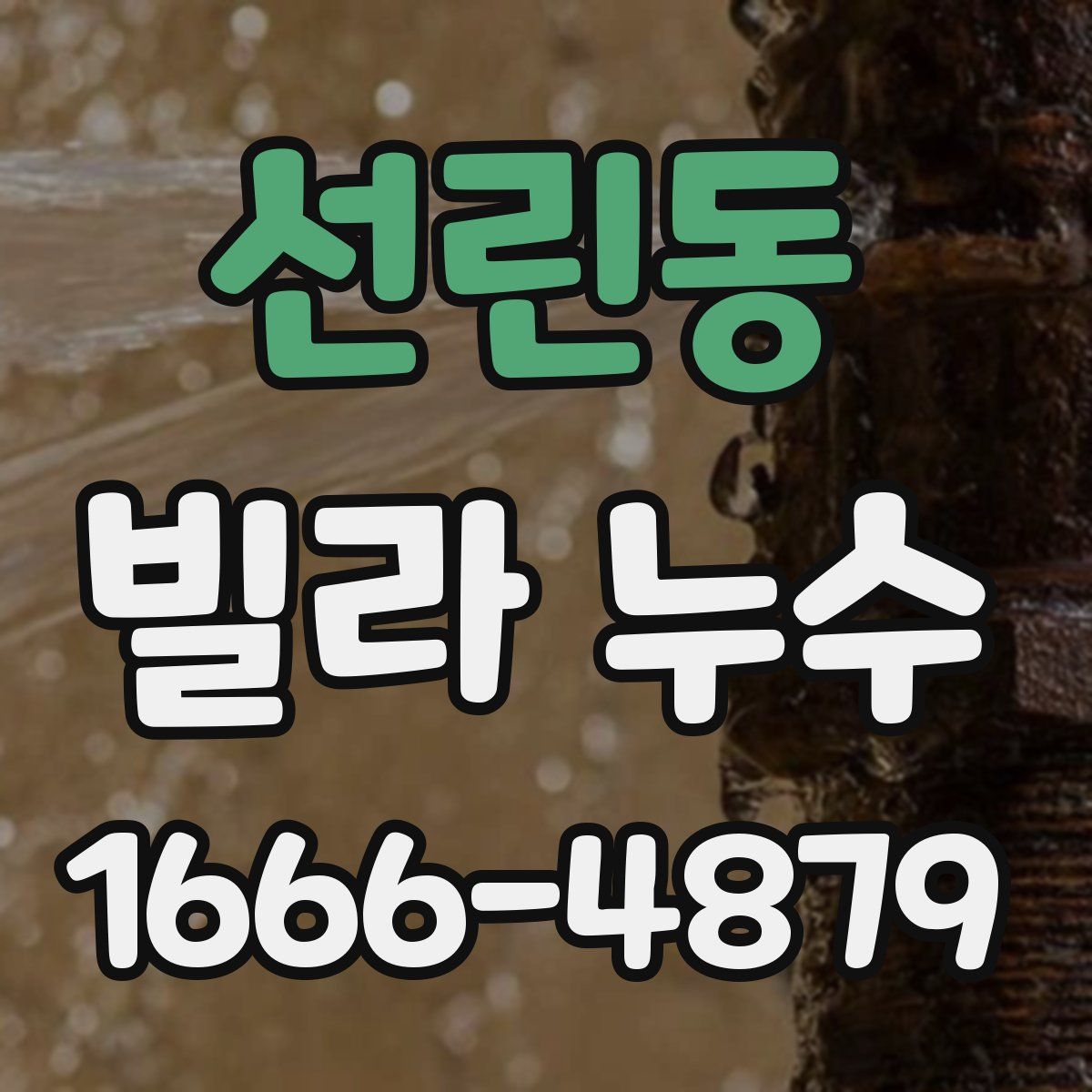 선린동 빌라 누수