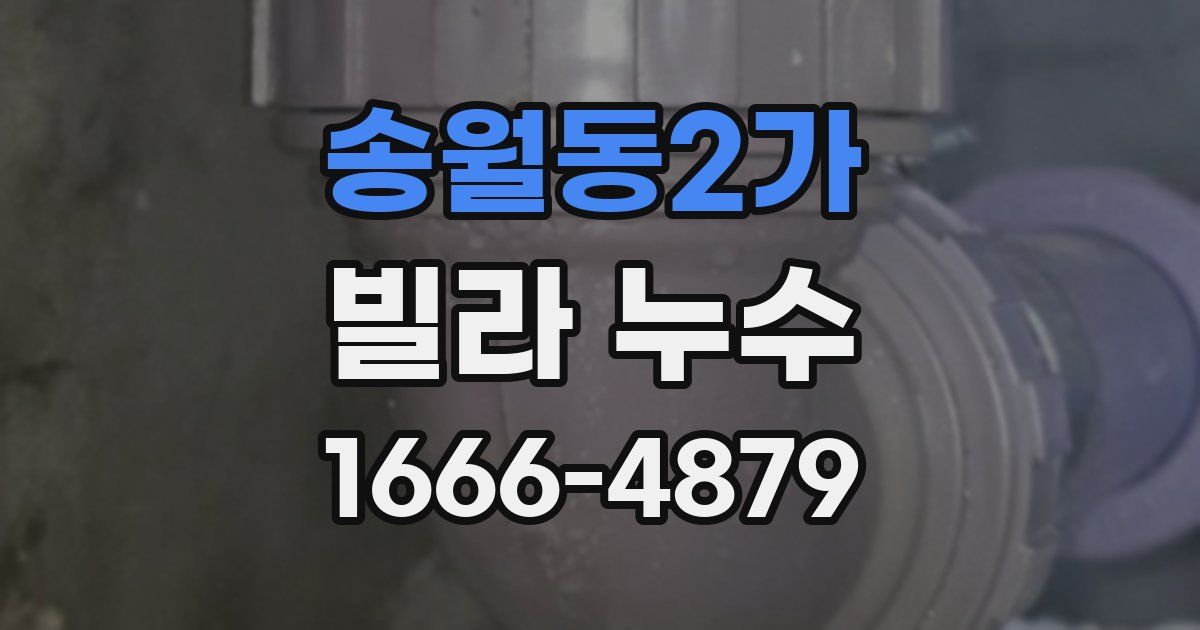 송월동2가 빌라 누수