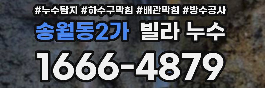 송월동2가 빌라 누수
