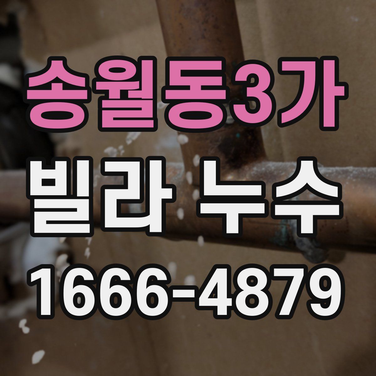 송월동3가 빌라 누수