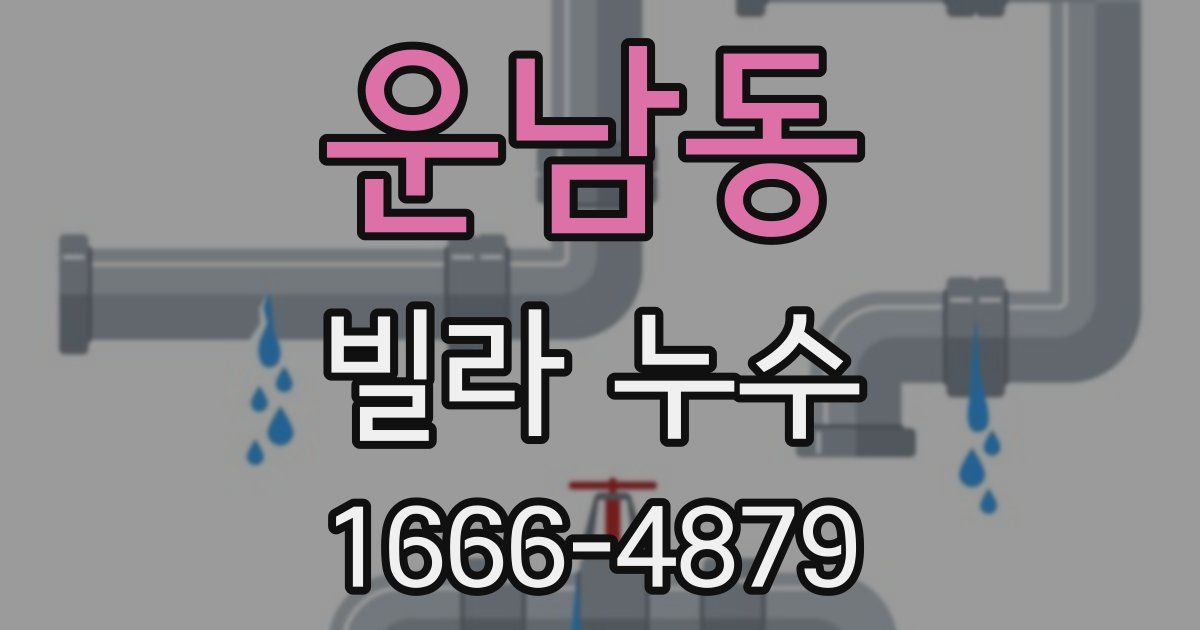 운남동 빌라 누수