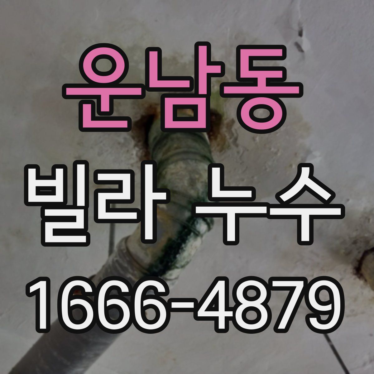 운남동 빌라 누수
