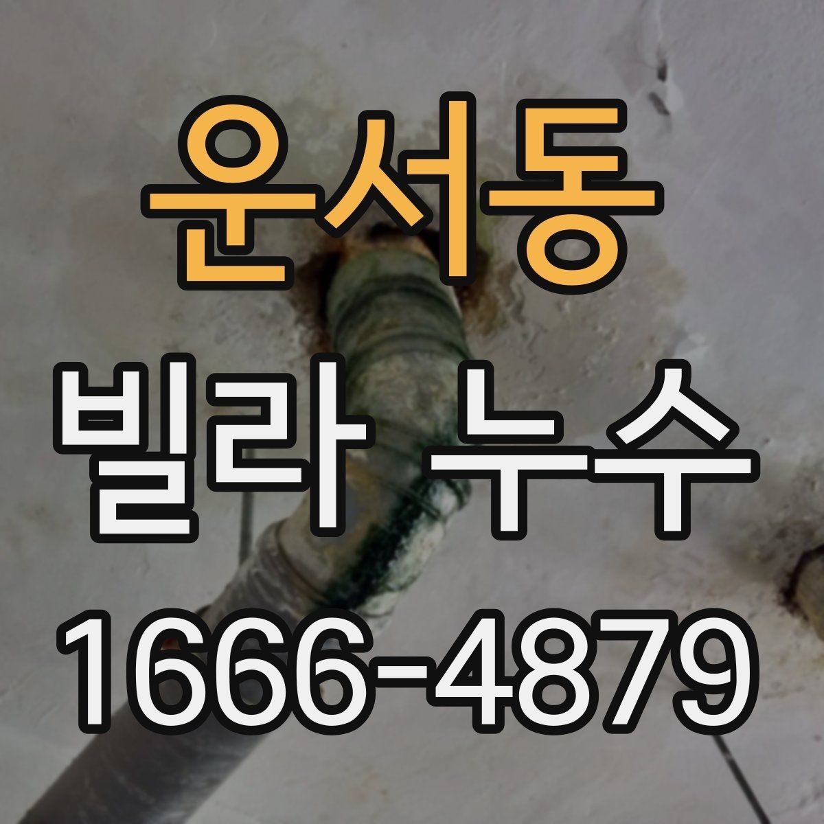 운서동 빌라 누수 방수층 손상 확인하기