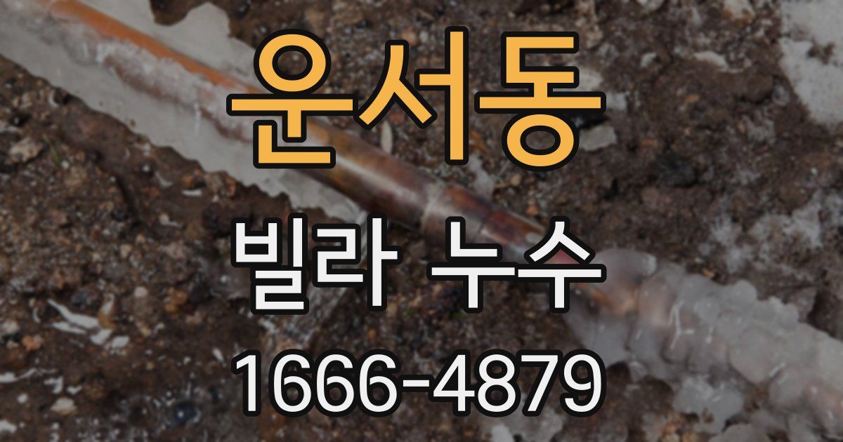 운서동 빌라 누수
