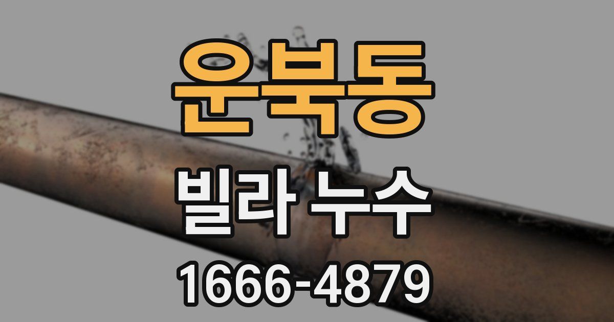 운북동 빌라 누수