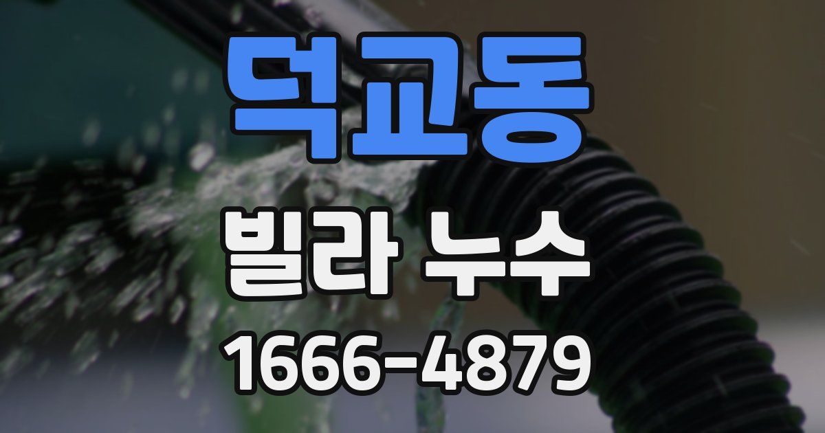 덕교동 빌라 누수