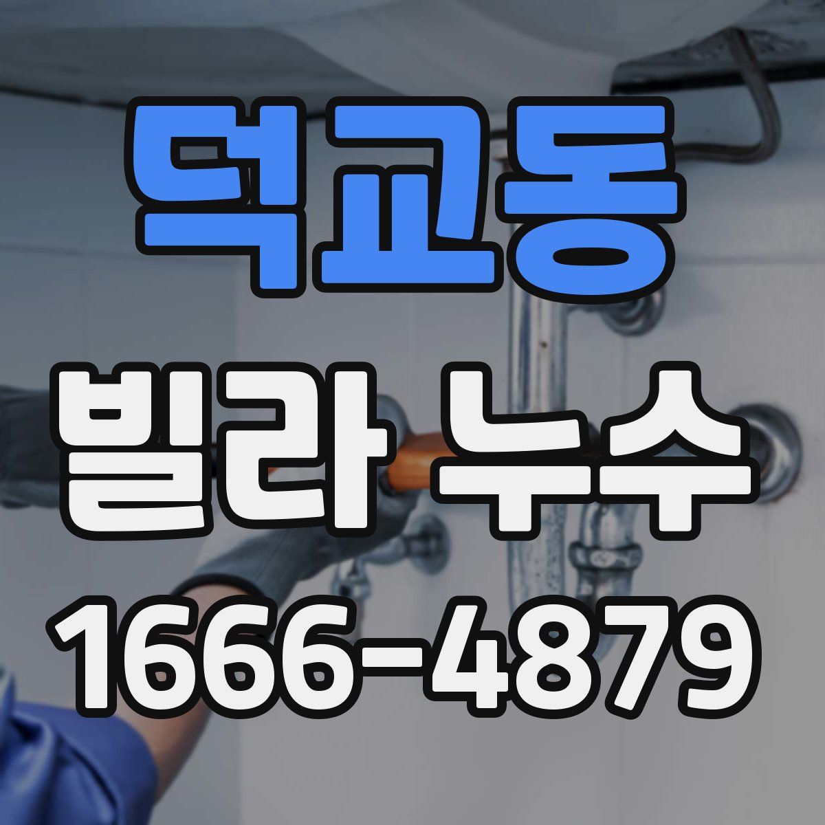 덕교동 빌라 누수