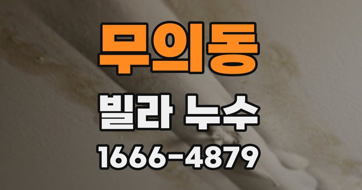 무의동 빌라 누수