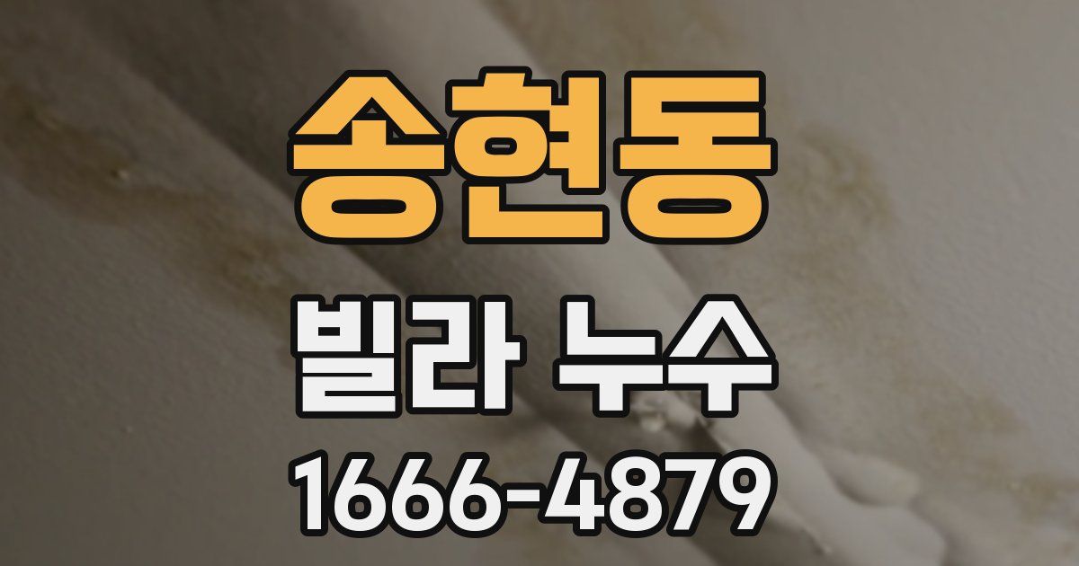 송현동 빌라 누수