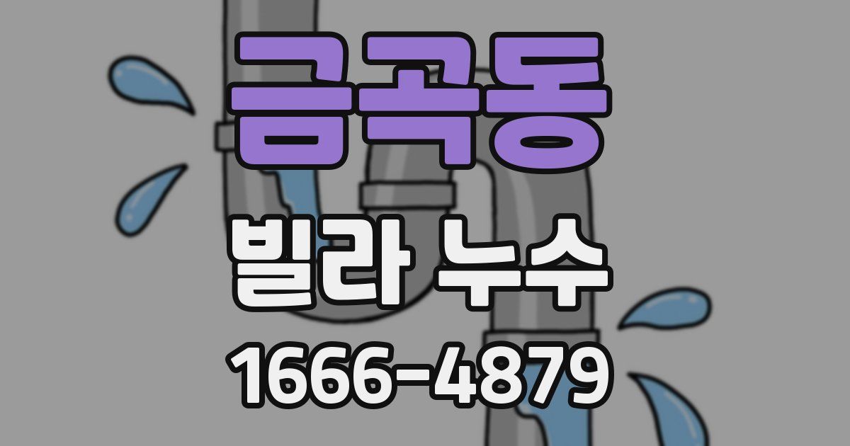 금곡동 빌라 누수