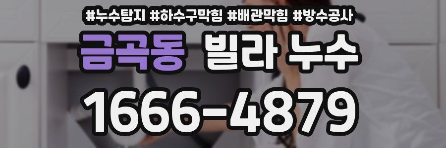 금곡동 빌라 누수