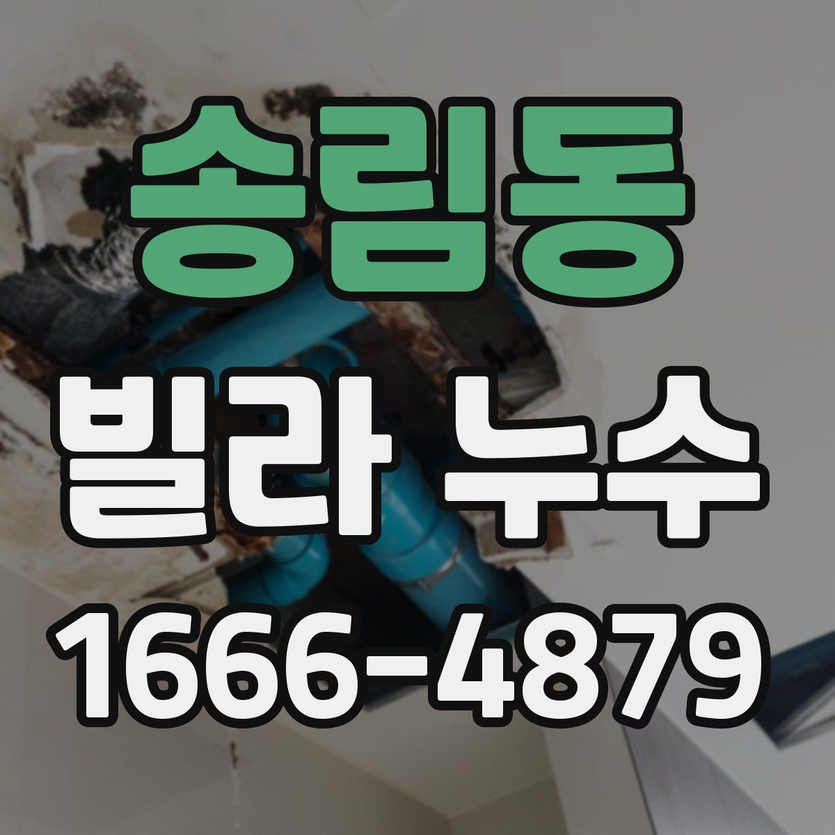 송림동 빌라 누수