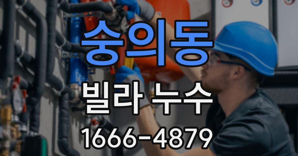 숭의동 빌라 누수