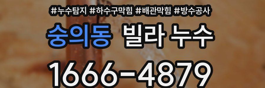 숭의동 빌라 누수