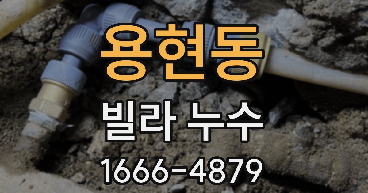 용현동 빌라 누수